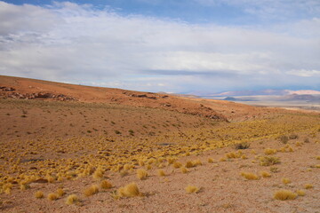 Desert landscape of northwestern Argentina