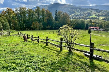 view of the valley in the Beskydy Mountains