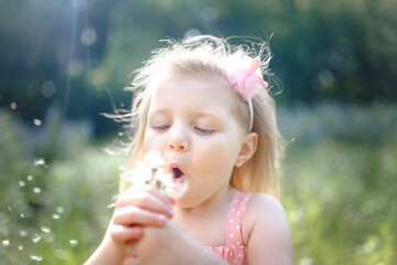 A little blonde girl in a pink sundress blows on a dandelion at sunset on a summer evening