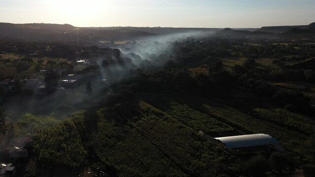 Amanecer aereo con neblina en el bosque de Nochistlan Jalisco Mexico 
