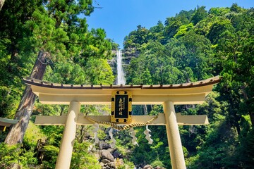 世界遺産熊野古道　飛瀧神社の鳥居と那智の滝