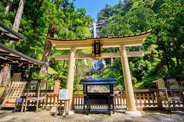 世界遺産熊野古道　飛瀧神社の鳥居と那智の滝 - obrazy, fototapety, plakaty