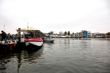 The Ballestas Islands are a group of islands near the city of Pisco, in Peru. They are made up of...