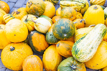 Sunny Pumpkin Decoration Festival 