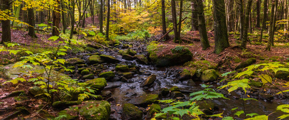 Whiting River in the fall