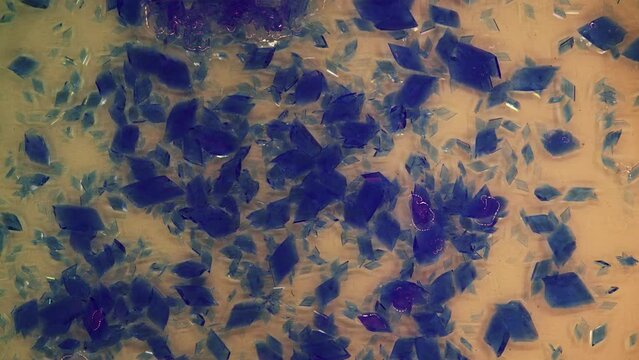 Growth of crystals from a solution of copper sulphate timelapse