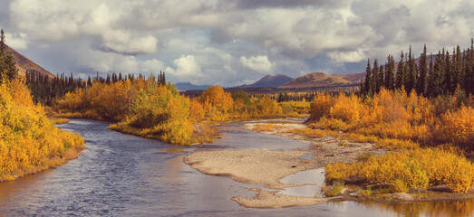 Autumn in polar tundra