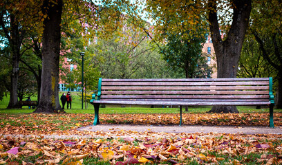 bench in the park