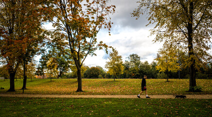 park in autumn