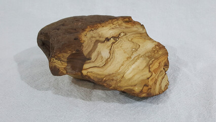 Madeira petrificada quebrada e apresentando textura de madeira, encontrada em areia de construção...