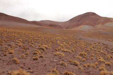 Desert landscape of northwestern Argentina
