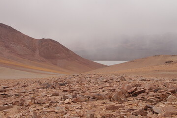 Desert landscape of northwestern Argentina
