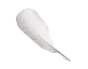 One fluffy beautiful feather isolated on white