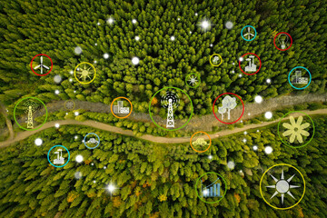 Digital icons of sustainable development goals and view of beautiful forest