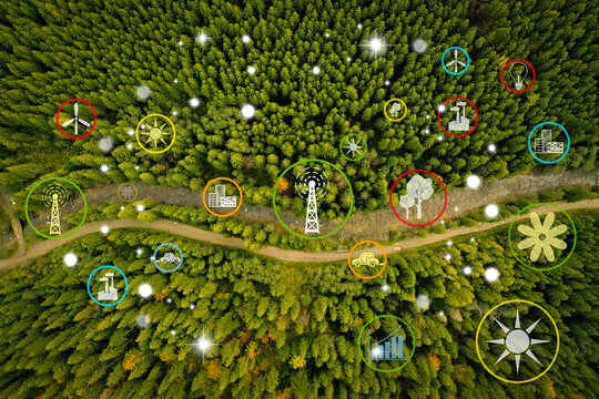 Digital Icons Of Sustainable Development Goals And View Of Beautiful Forest