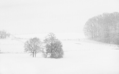 Fototapeta na wymiar Snow Covered field with Trees