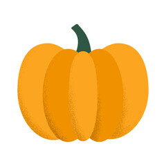 orange pumpkin with grain shadow color flat illustration