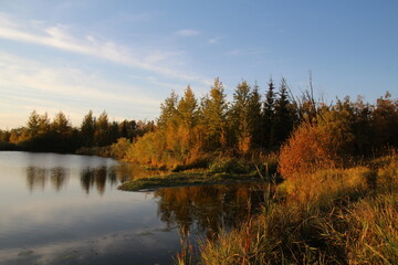 autumn landscape with lake