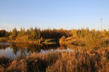 Evening In The Wetlands, Pylypow Wetlands, Edmonton, Alberta