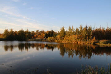 Fototapeta na wymiar autumn trees reflected in the lake
