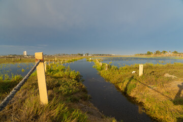 A flooded pathway 