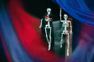 Halloween party decoration. Two scary skeletons hanging from the blue cloth  on a red and blue  background in a dark room.