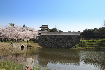 福岡市の舞鶴公園風景