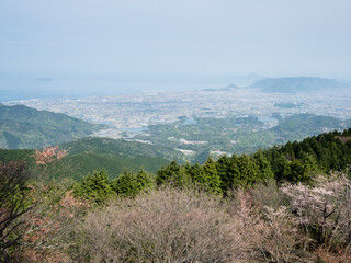 Fototapeta na wymiar Scenic view over the city of Kan-Onji from the top of Unpenji ropeway with cherry tree blooming - Kagawa prefecture, Japan