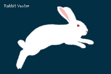 White Rabbit. cartoon rabbit vector Icon. Isolated cartoon icon set.Vector Rabbit illustration on isolated background.