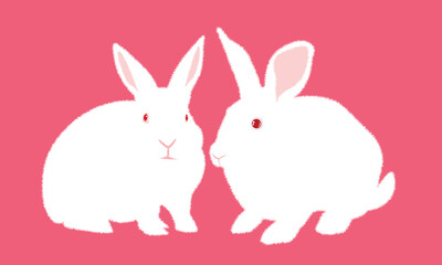 Obraz na płótnie Canvas White Rabbit. cartoon rabbit vector Icon. Isolated cartoon icon set.Vector Rabbit illustration on isolated background.