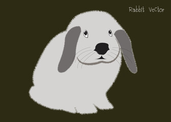 Naklejka premium Gray Rabbit. cartoon rabbit vector Icon. Isolated cartoon icon set.Vector Rabbit illustration on isolated background.