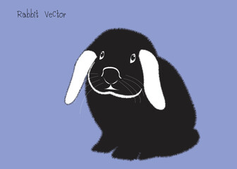 Naklejka premium Black Rabbit. cartoon rabbit vector Icon. Isolated cartoon icon set.Vector Rabbit illustration on isolated background.