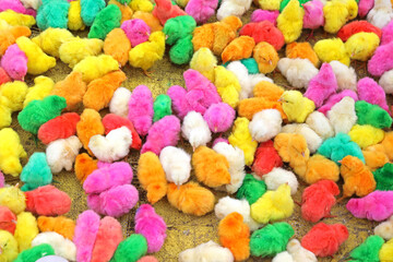 Fototapeta na wymiar Colorful baby chickens for sale in a traditional market