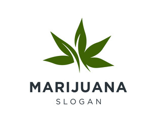 Logo design about marijuana on a white background. made using the CorelDraw application.