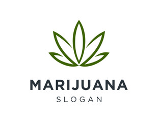 Logo design about marijuana on a white background. made using the CorelDraw application.