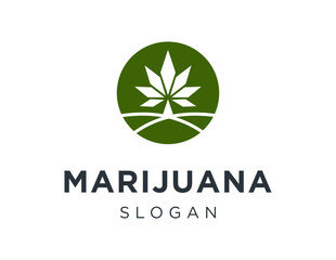 Logo design about marijuana on a white background. made using the CorelDraw application.