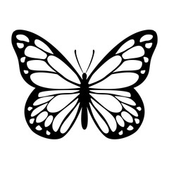 Butterfly silhouette. Silhouette of a moth