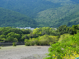 Fototapeta na wymiar landscape in the mountains