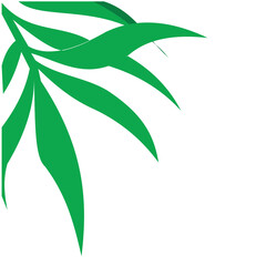 Wallpaper of leaves dangling in one corner on a white background. Simple design. Background texture with green leaf theme. Suitable for use as a background for banner designs, posters and any design t