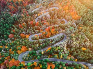 road in autumn forest © Ivan