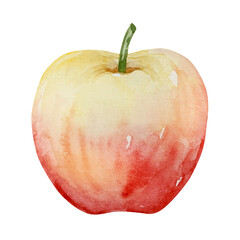 watercolor autumn yellow red ripe apple