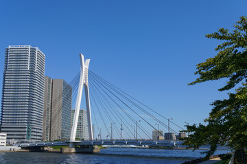 Obraz premium 江東区 中央大橋