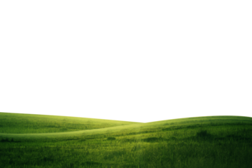 lawn and mountain PNG transparent
