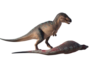 dinosaur king acrocanthosaurus. acrocanthosaurus dinosaur on a blank background PNG
