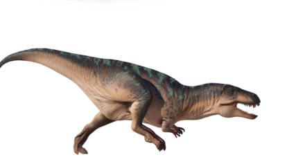 dinosaur king acrocanthosaurus. acrocanthosaurus dinosaur on a blank background PNG
