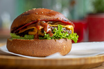 hamburger with fries