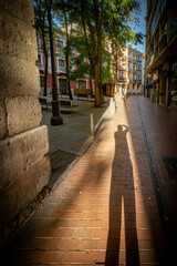 Valladolid ciudad histórica y monumental de la vieja Europa	