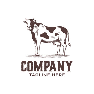 Cow logo design. Company logo with sketch illustration of dairy cow