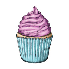 Colored cupcake sketch. Hand drawn illustration of a cupcake sketch.