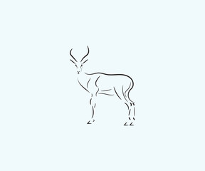 Deer Line art Logo design